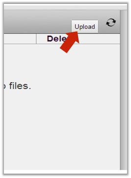 SureFox Allowed Websites - Add New Allowed Website Details