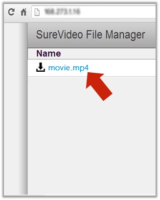 SureFox Allowed Websites - Add New Allowed Website Details